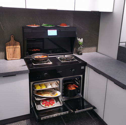 帥豐集成灶登陸cctv三大頻道及全國(guó)十一大機(jī)場(chǎng),講好品牌故事成就美好生活